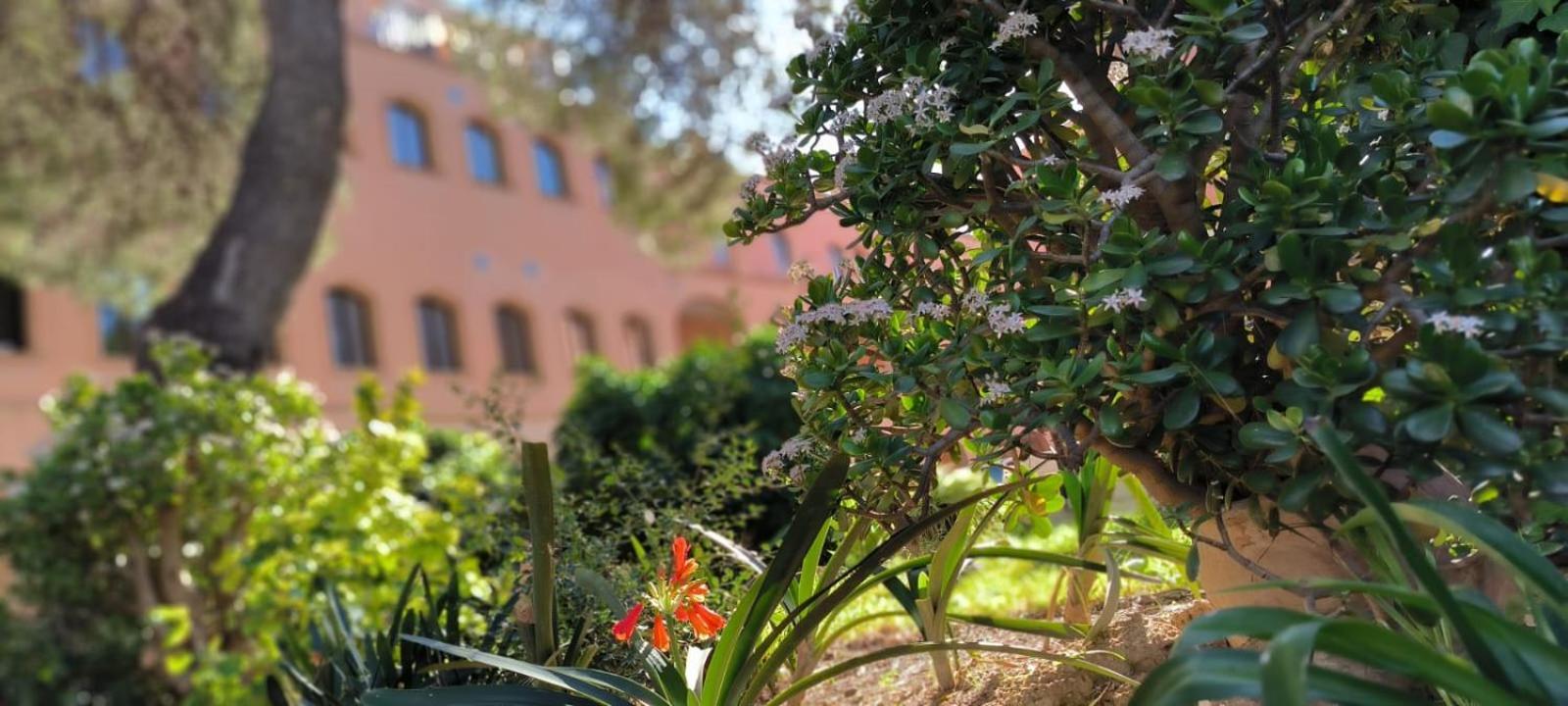 Albergue Rosa Molas Arrabal de Jesus Exterior photo